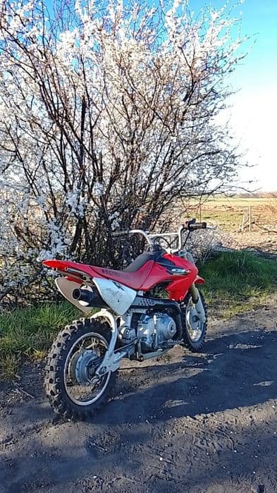 Honda crf 50 mini cross