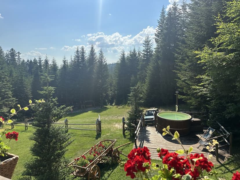 Domek w górach leśna bacówka, gorąca balia, ruska bania, domek w lesie