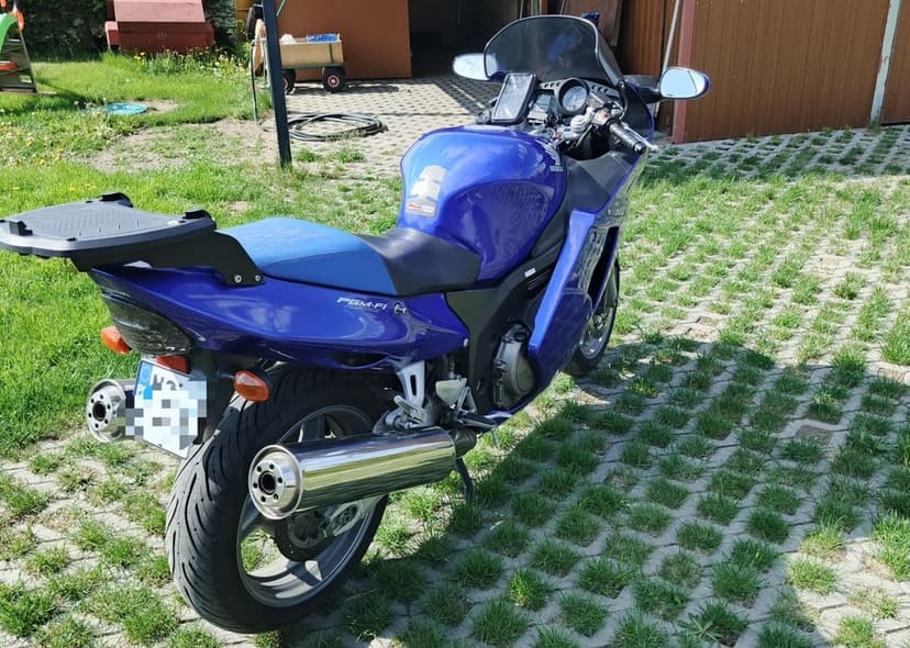 CBR 1100 Black bird Ori stan