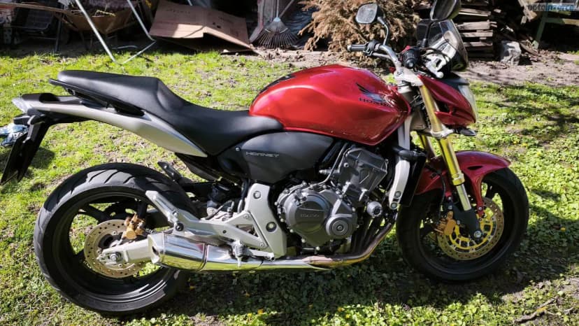 Honda CB 600 F Hornet