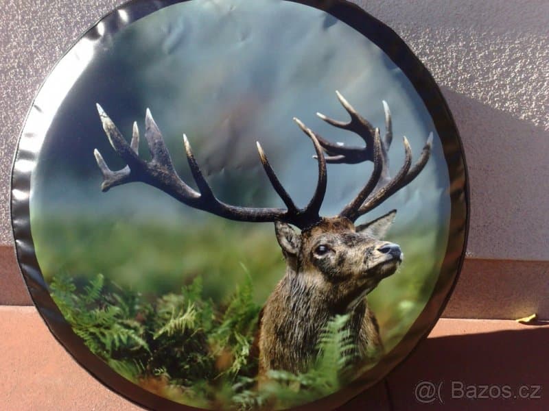 Terrano, patrol kryt kola