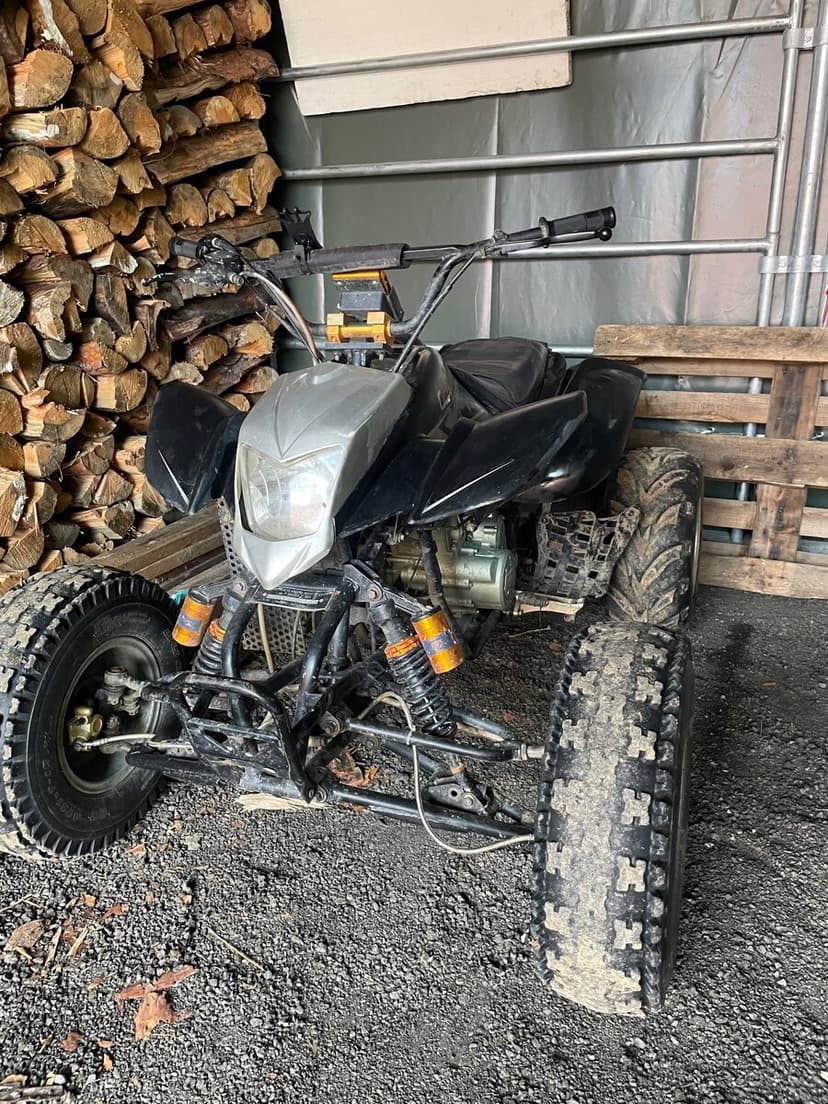 Čtyřkolka bashan 250