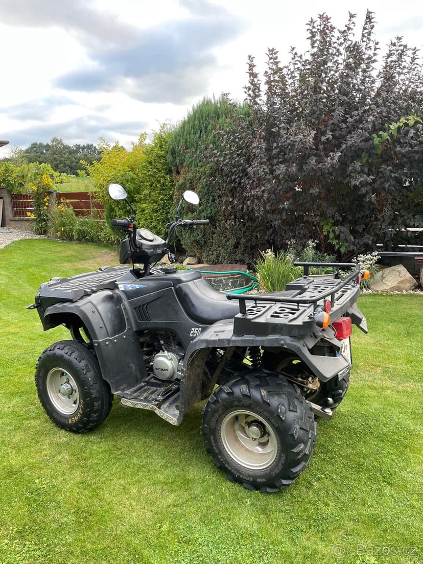 Bashan 250 ATV