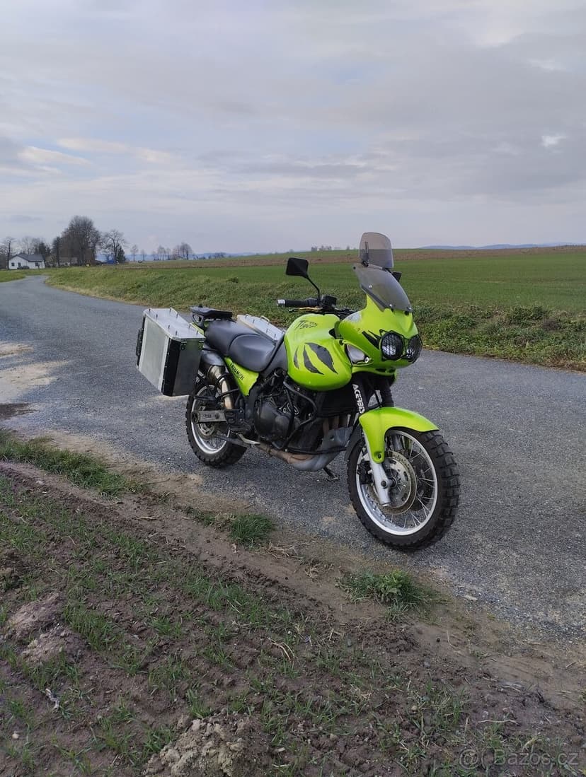 Triumph Tiger 955i
