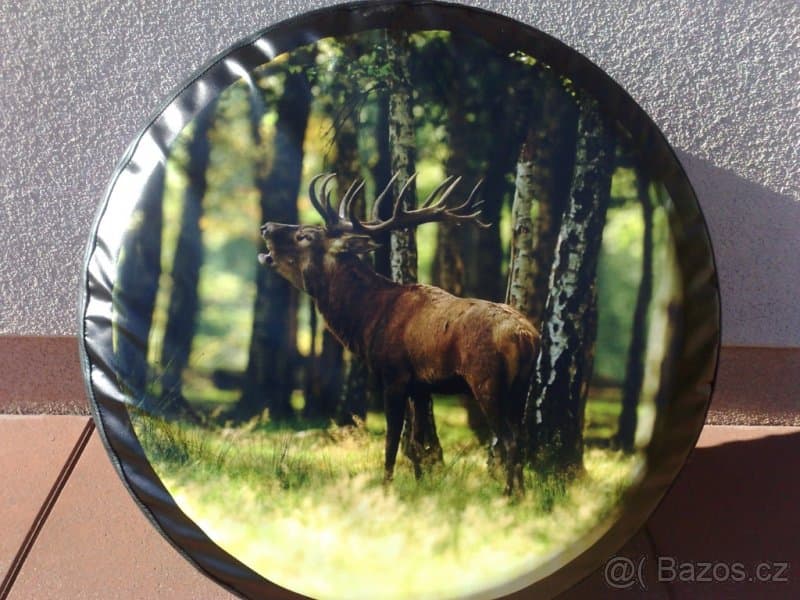 Terrano, patrol kryt kola