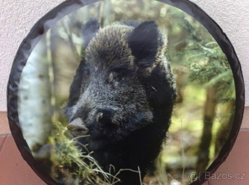 Rav 4, landcruiser - kryt na rezervu kolesa