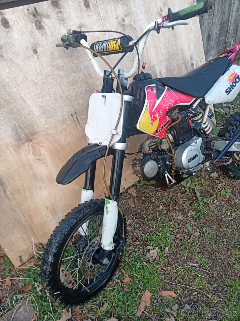 Pitbike champs 125ccm