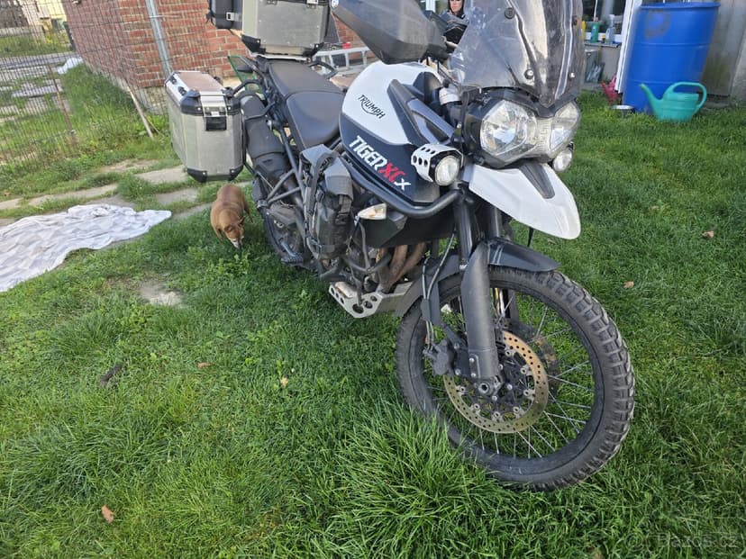 Triumph tiger 800 xcx