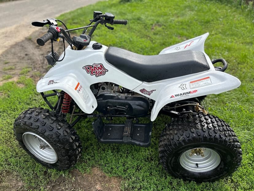 Dětská Čtyřkolka SMC RAM 100