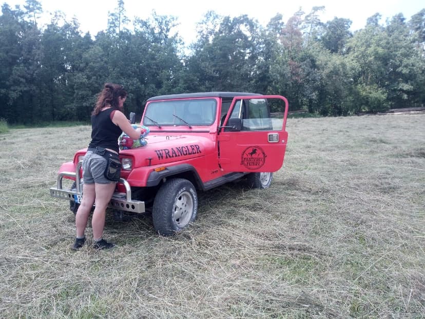 Jeep Wrangler YJ 4.2