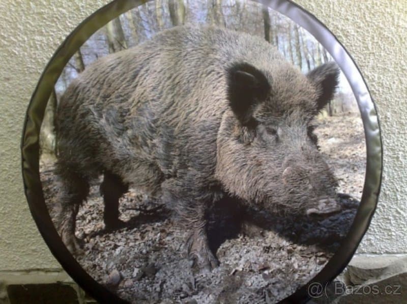 landcruiser, rav4 - kryt na rezervu kolesa