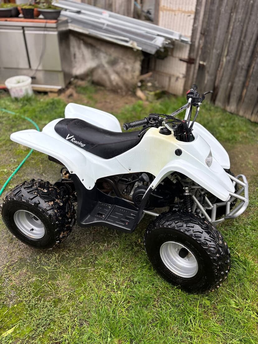 Access ddr 100 reverze