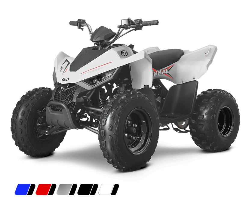 dětská čtyřkolka Linhai ATV 110 2x4