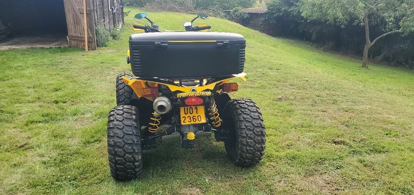 Can am renegade 500