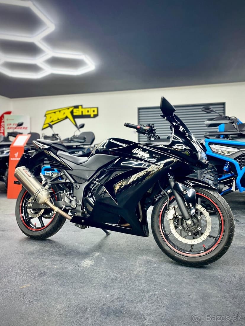 Kawasaki Ninja 250r 2010