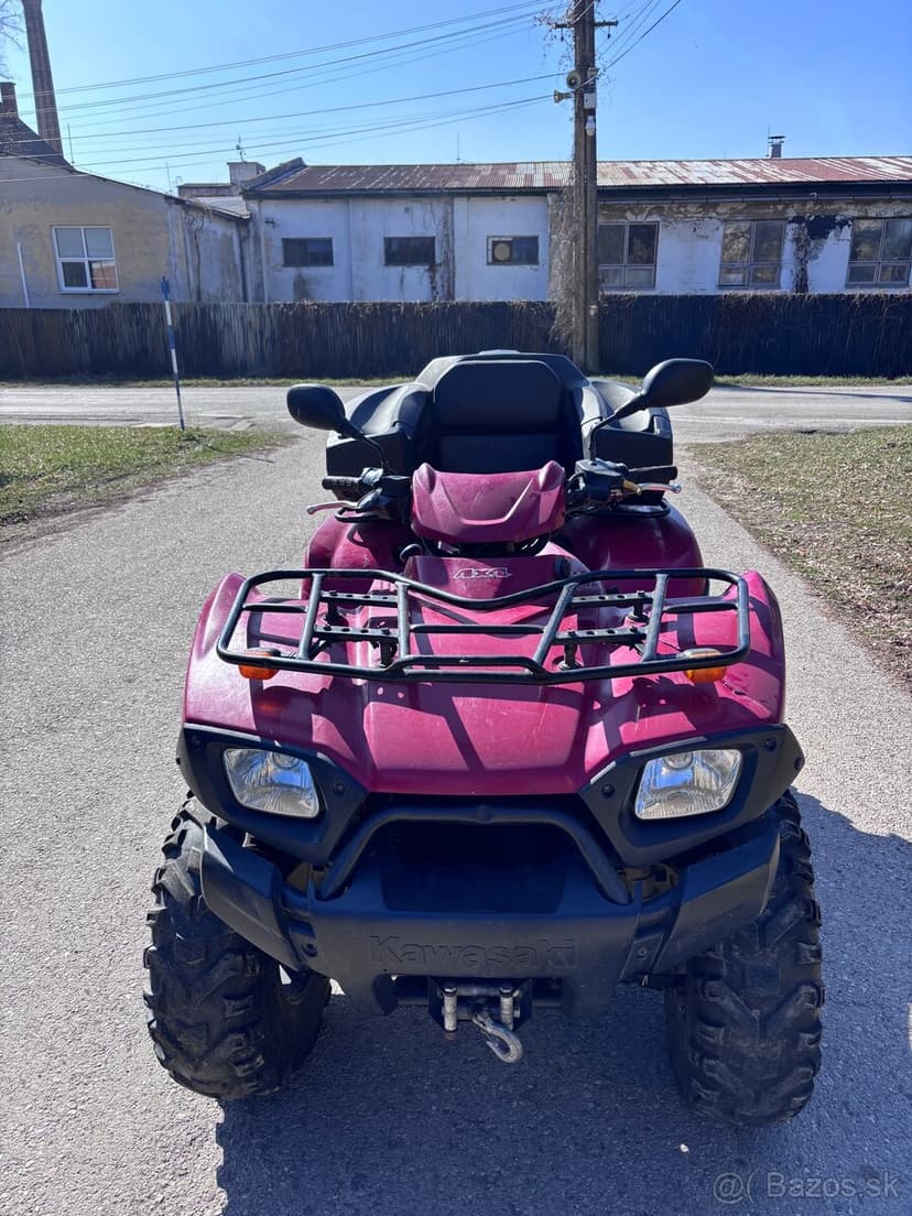 Kawasaki Brute Force 650