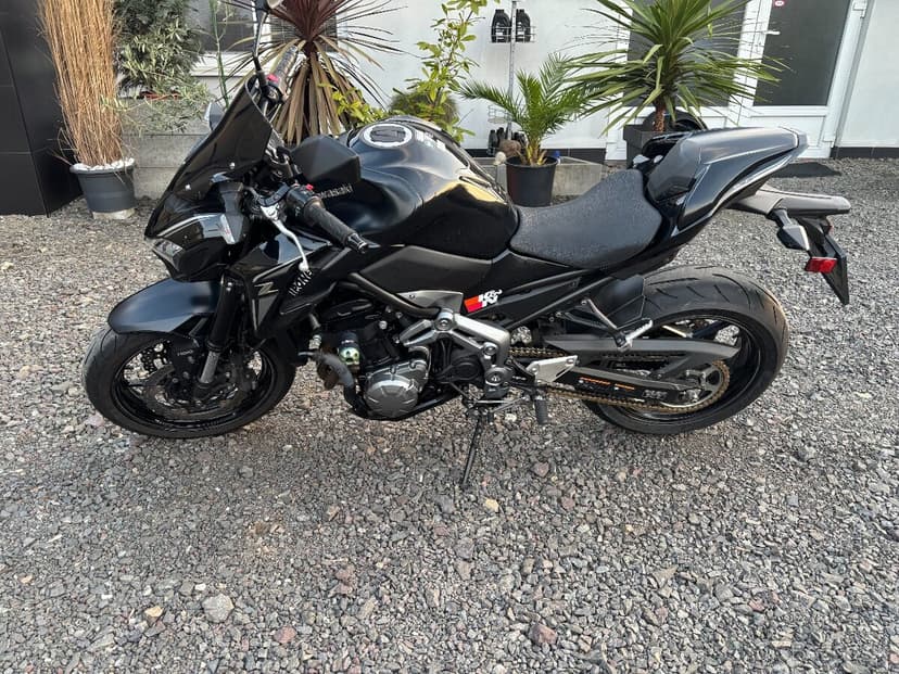 Kawasaki Z-900 Performance 2017