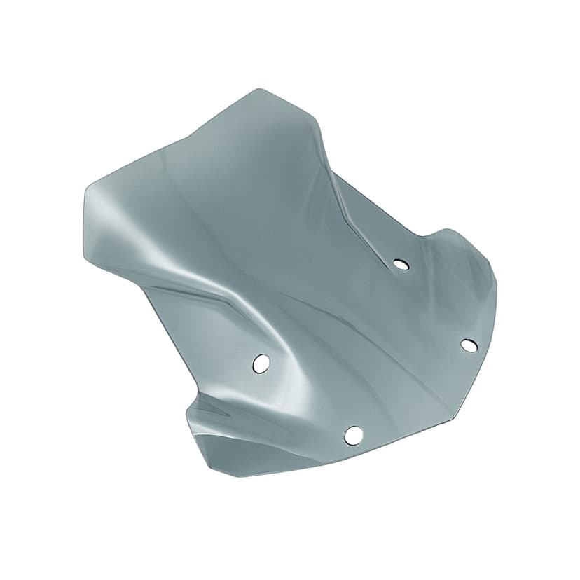 Plexi, plexištít mírně kouřový BMW R1200GS (1250)