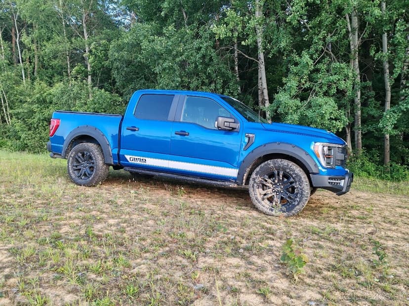 Ford f150