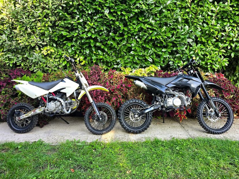 Pitbike Stomp Zongshen 175