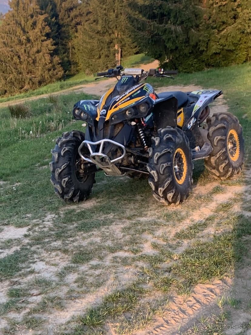 Can am renegade 1000