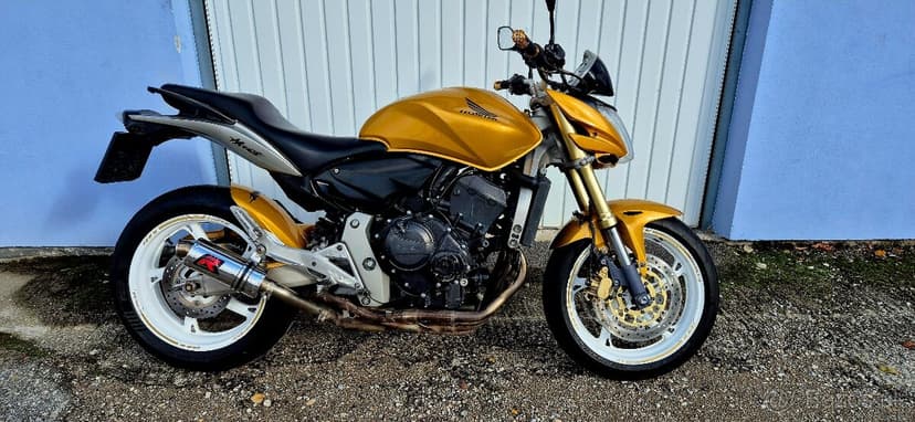 Hornet 600 25kW v TP