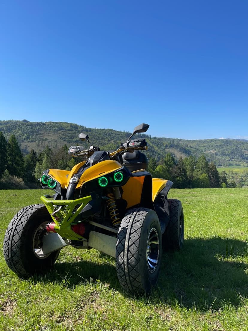 Can am renegade 800