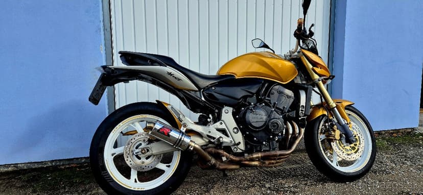 Hornet 600 25kW v TP