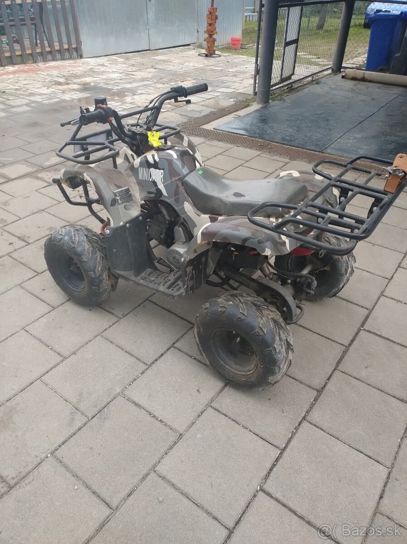 ATV 110