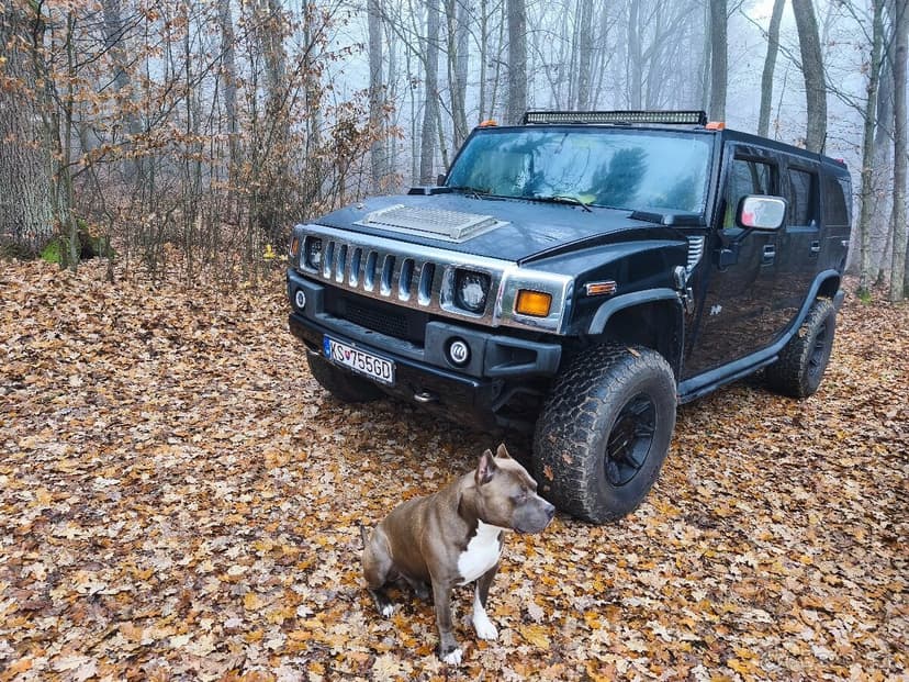 Predám / vymením HUMMER H2