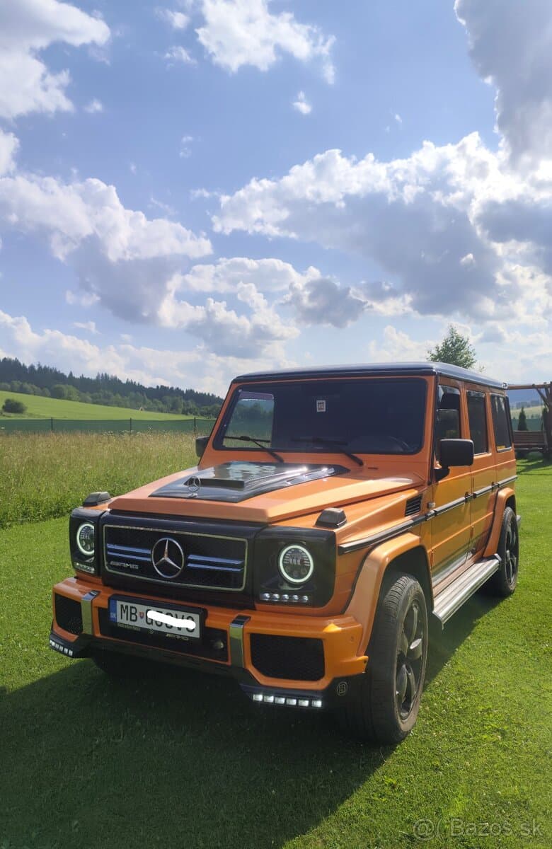 Mercedes Benz G w463 g500