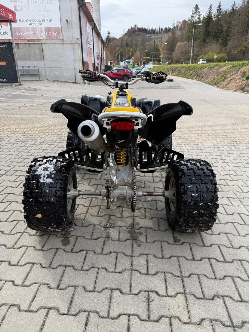 Can am ds 450