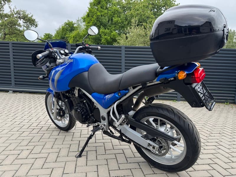 Triumph Tiger 955i