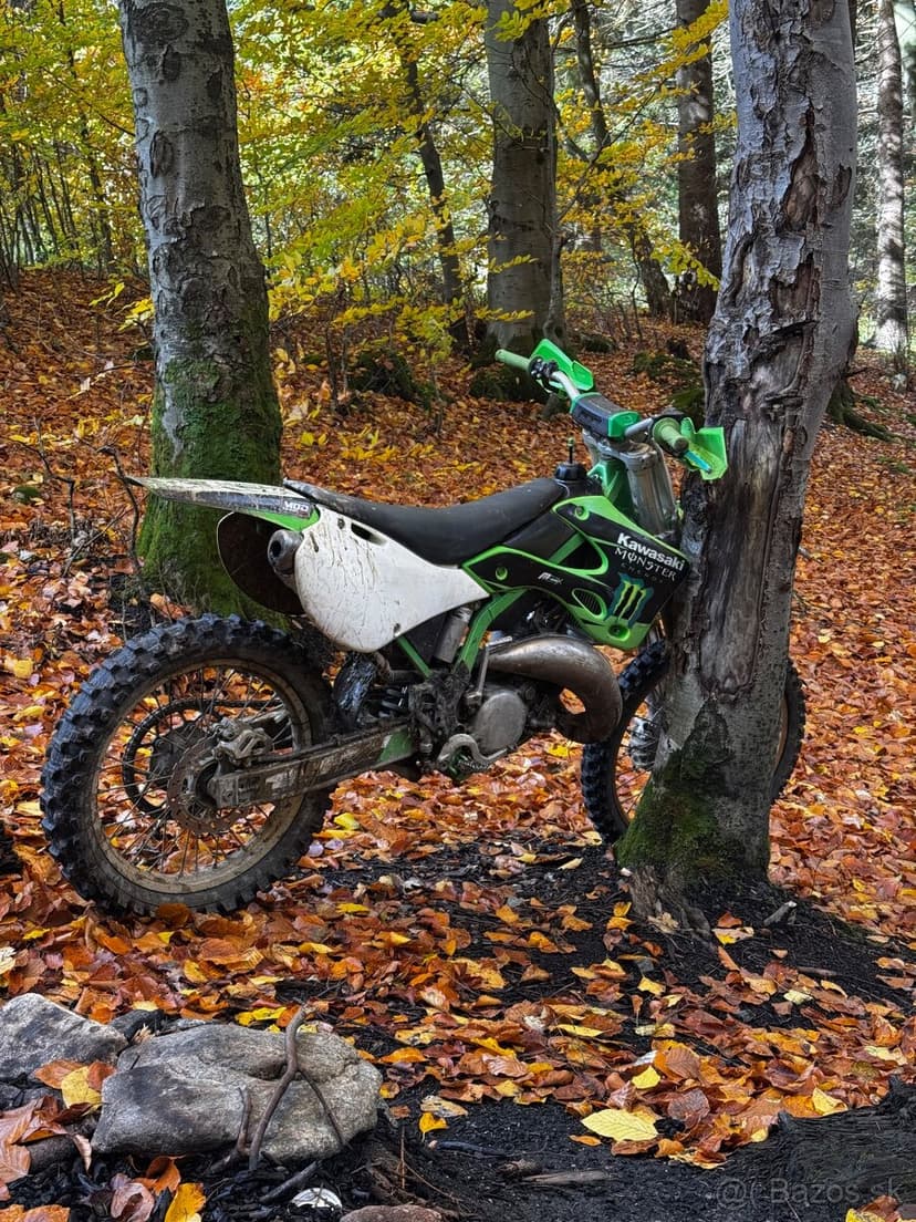 Kawasaki kx 125 2001