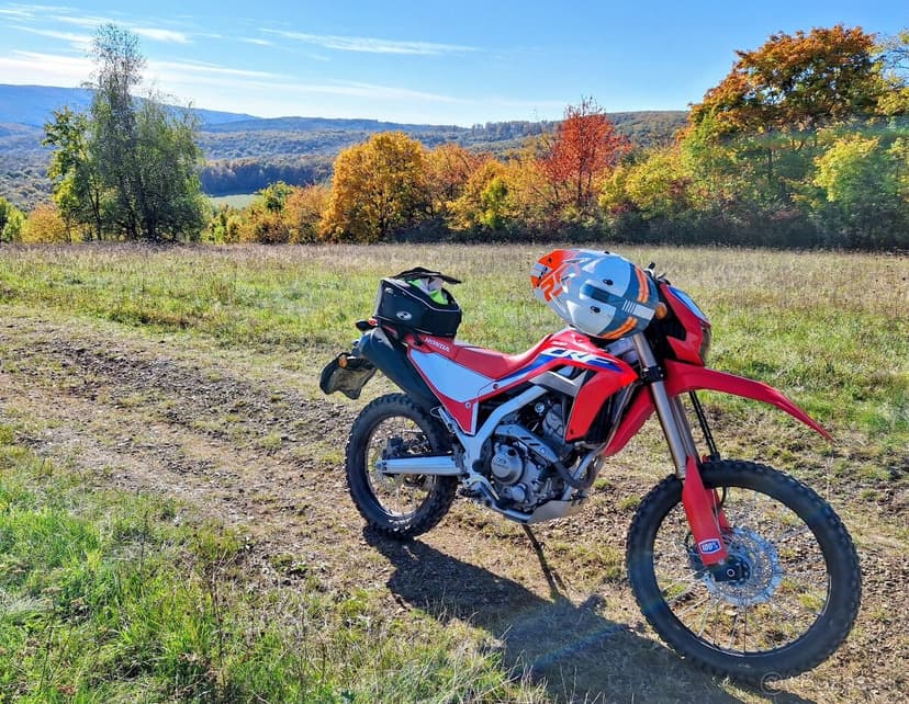 Honda crf 300l