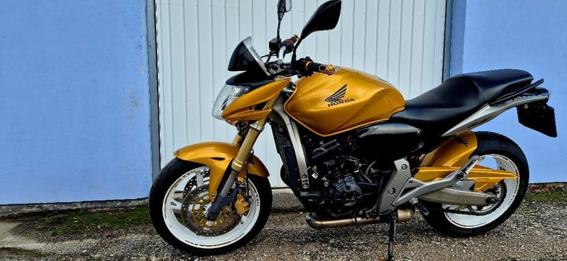 Hornet 600 25kW v TP