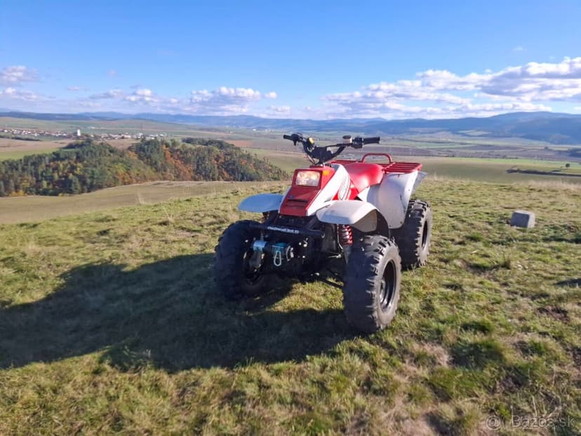 Polaris Trail boss 325