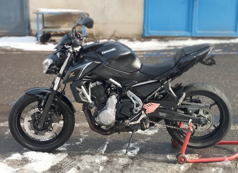 Kawasaki Z 650 2018