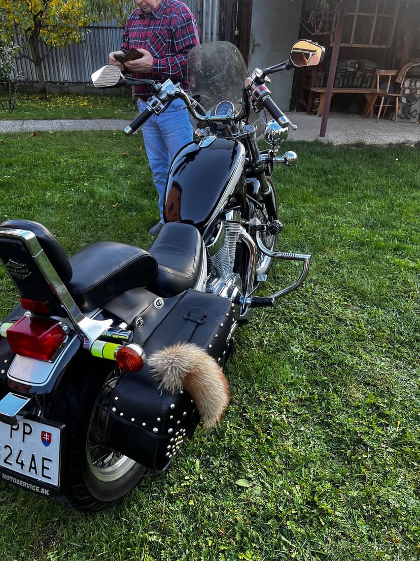 Suzuki Minesota Twin 600