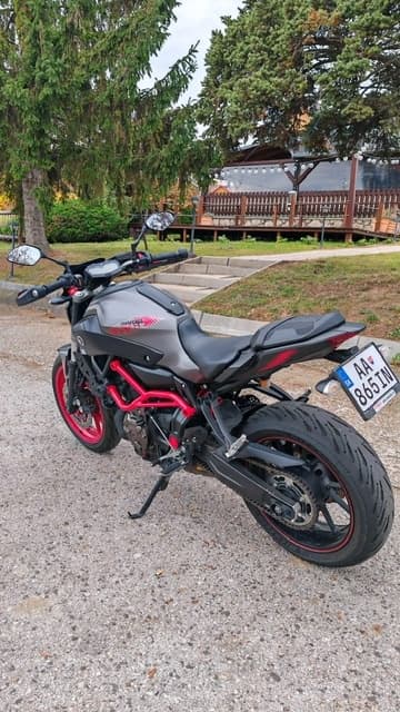 Yamaha MT 07 Moto Cage 2016