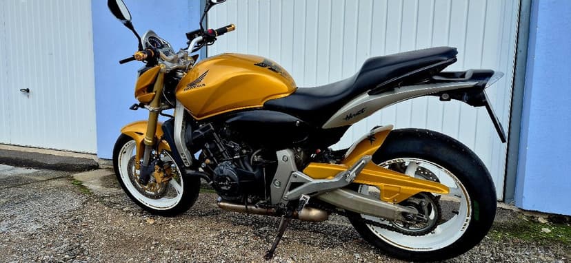 Hornet 600 25kW v TP