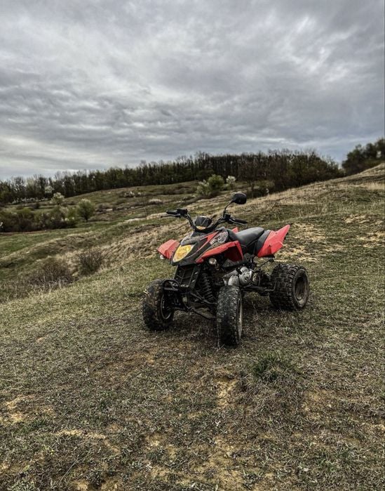 ATV Arctic Cat 300 DVX