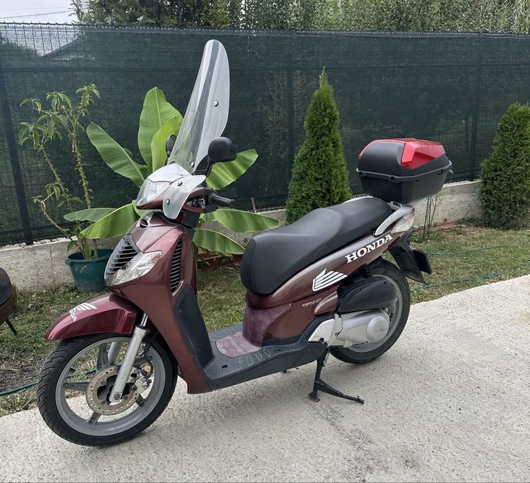 Honda SH Mode 125cm Cat B