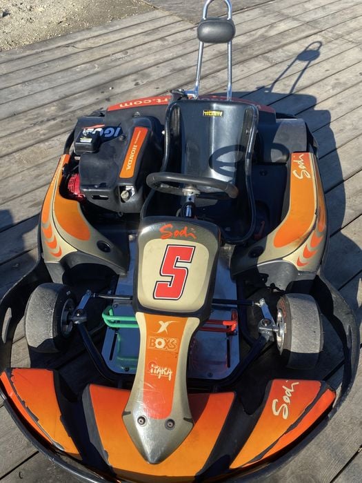 Kart cart sodi copii 8-14 ani.