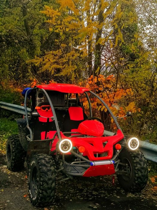 Vand Buggy unic in Romania