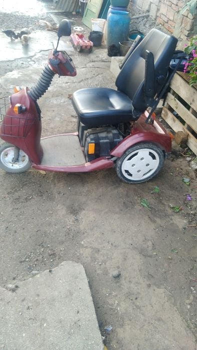 Carut electric de vinzare