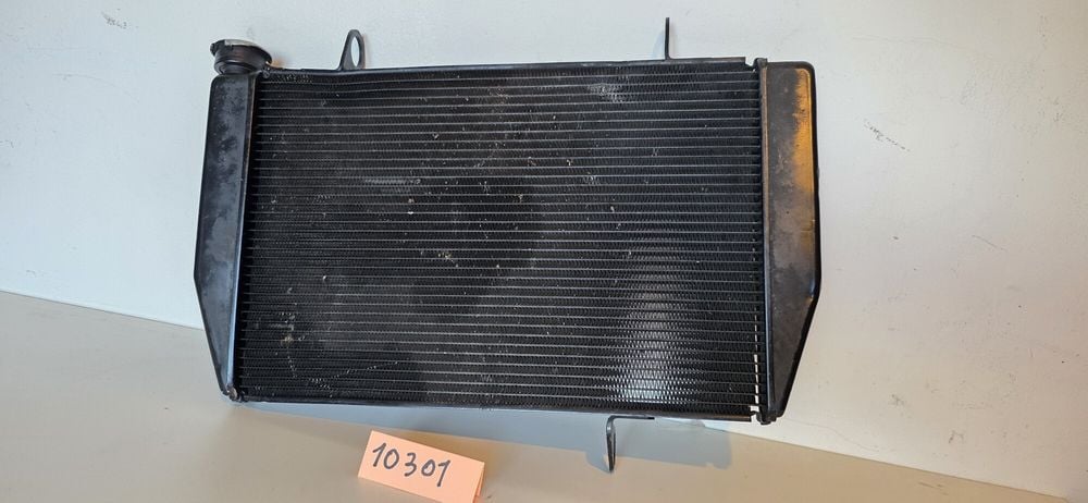 Radiator apa antigel  Ducati Multistrada 1200 2015-2018 + ventilator