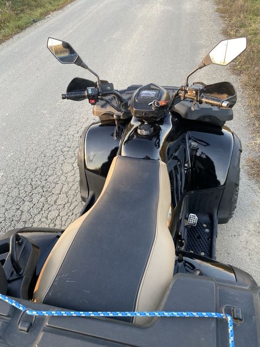 Linhai aniversary 300 4x4