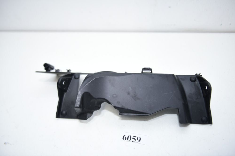 Protecție de evacuare  4663 8403878 BMW F900R 46638403878