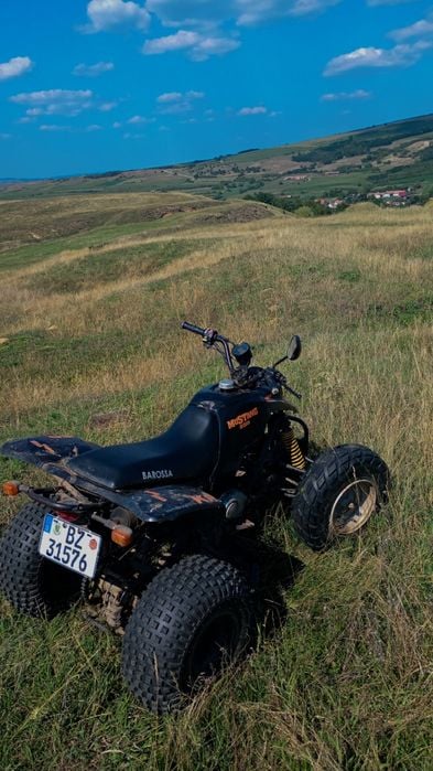 ATV quad barossa mustang